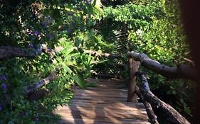 Tree Top Eco-Lodge